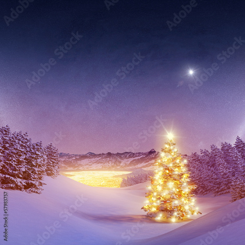Beleuchteter Christsbaum Im Wald