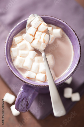cocoa with mini marshmallows in spoon