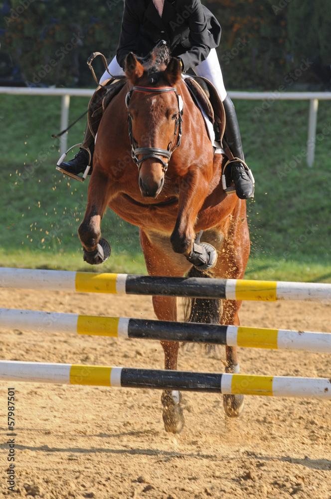 Springsport Springsport