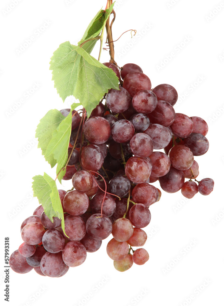 Fototapeta premium ripe sweet grapes isolated on white.