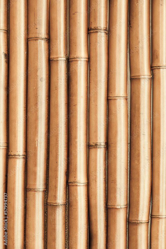 Fototapeta premium New shining bamboo wall vertical photo background texture