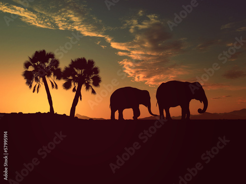 Elephants © lassedesignen
