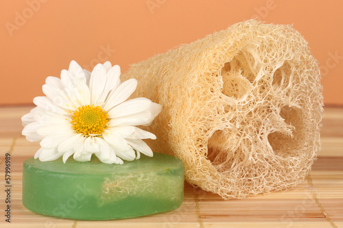 Obraz na płótnie Loofah on color background