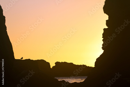 Oregon coastal rocks and seagull silhouette at sunset