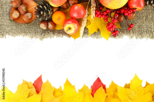 Beautiful autumn composition, isolated on white