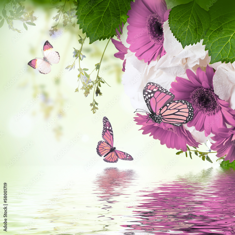 Multi-colored gerbera daisies and butterfly