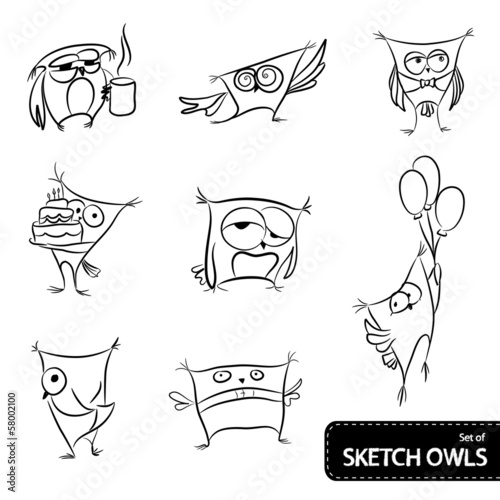 Set of owl sketch