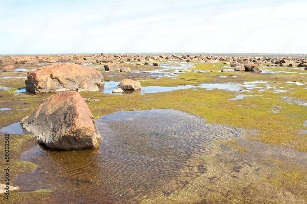 Hudson Bay Low Tide Stone Desert
