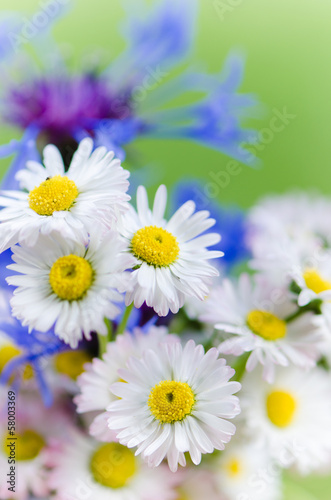 Bouquet of daisies and cornflowers close-up