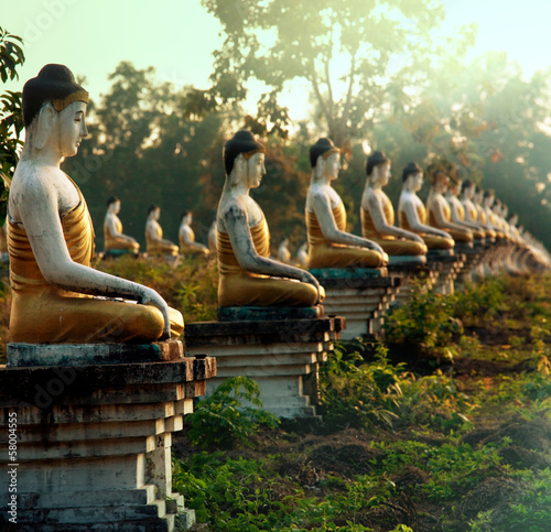 Fototapeta Buddhas garden
