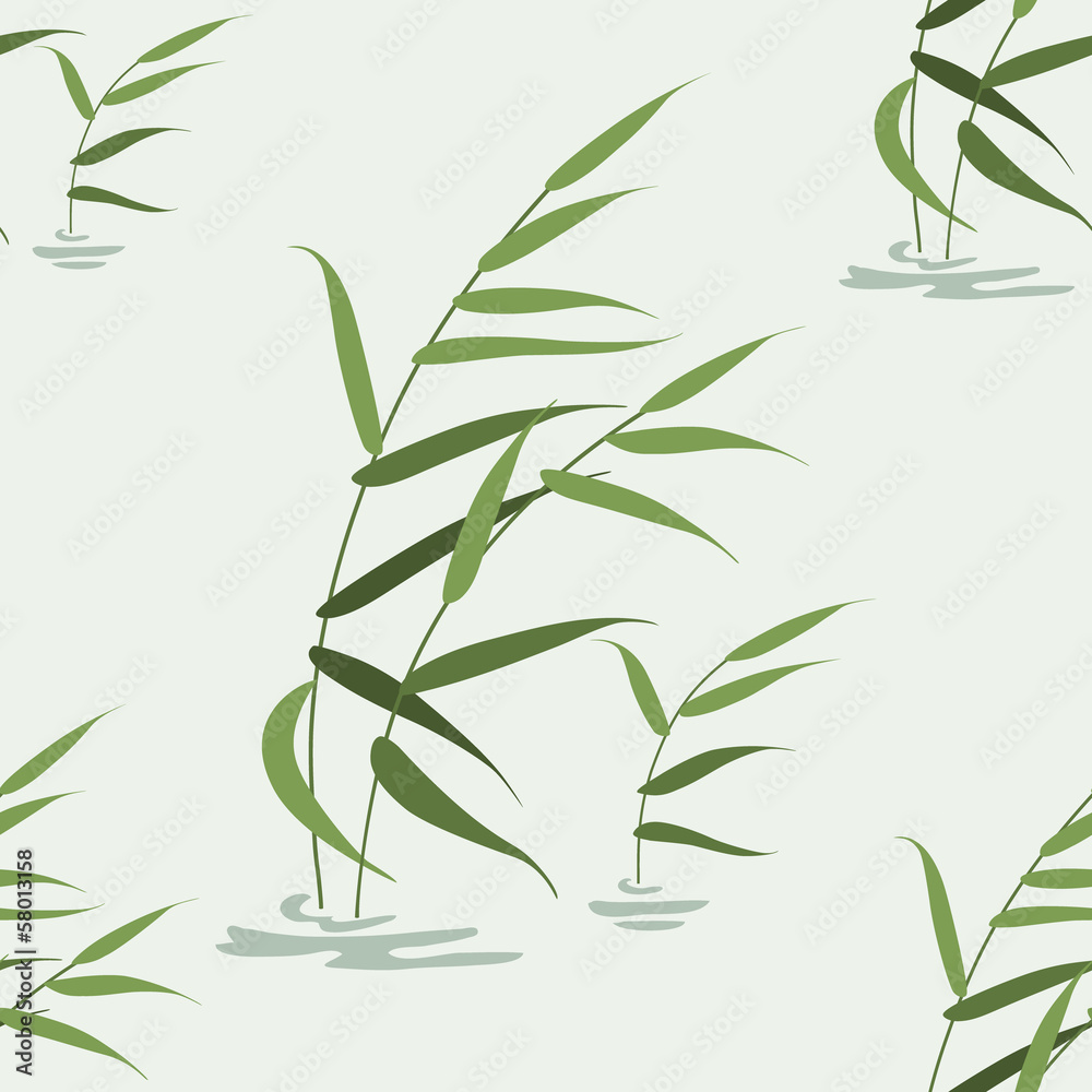 Fototapeta premium Pond reeds