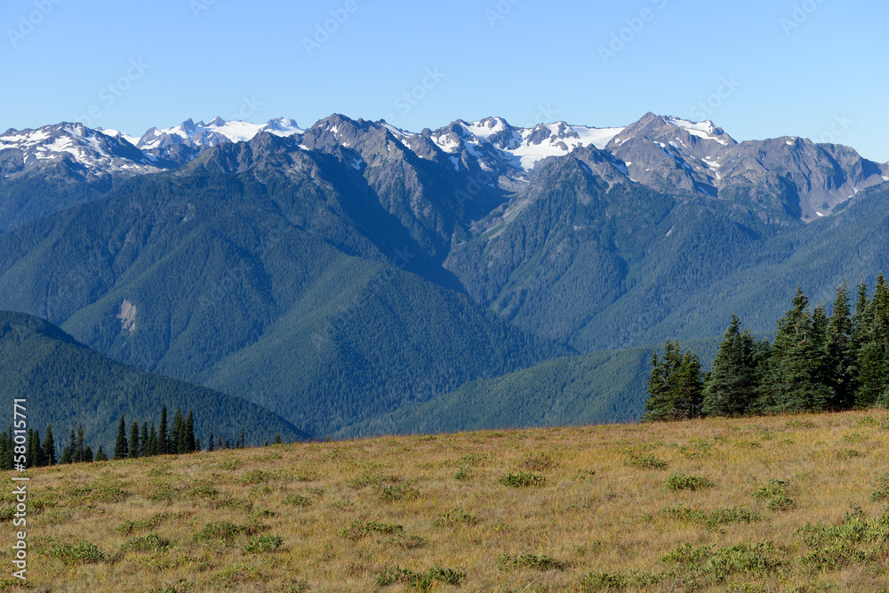 A Olympic National Park, USA A Olympic National Park, USA