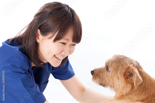 動物病院