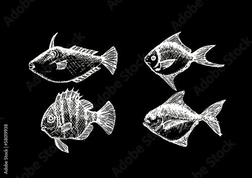 hand drawn fish Vector illustration