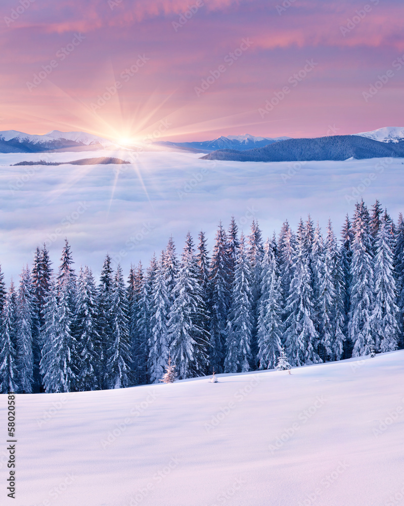 Obraz premium Spectacular sunrise among a sea of fog in the winter Carpathian