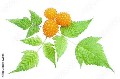 Orange salmonberry and leaves