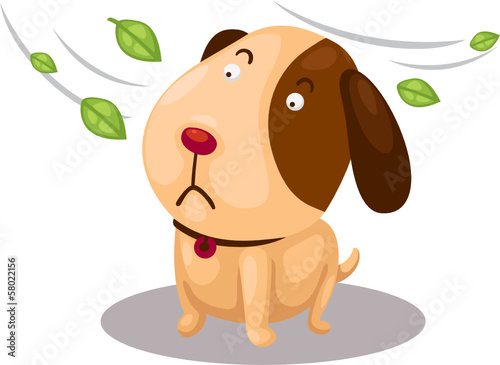 cute dog with strong windy