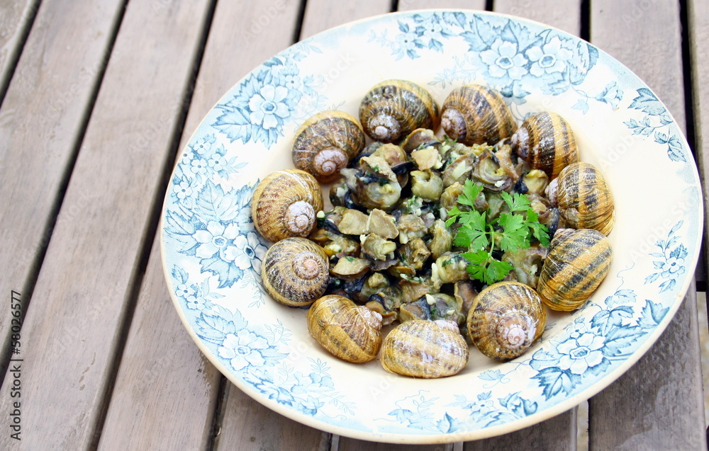 assiette d'escargots cuisinés Stock Photo