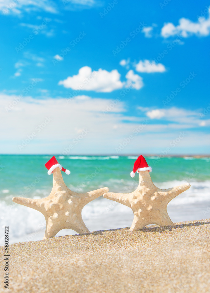 Sea-stars couple in santa hats walking at sea sandy beach. Holid Sea-stars couple in santa hats walking at sea sandy beach. Holid
