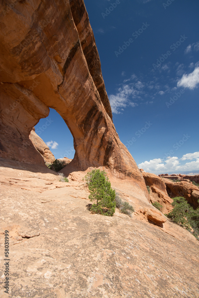 Arches National Park