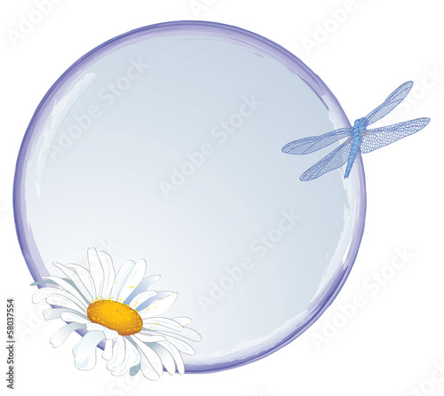 daisy and dragonfly