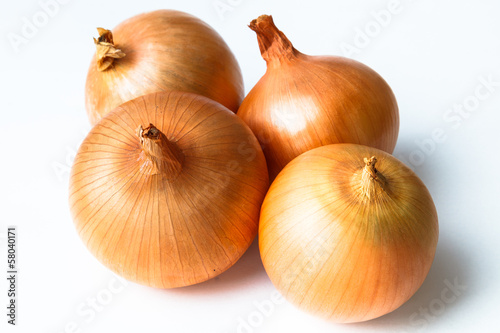 Wallpaper Mural タマネギ Torontodigital.ca