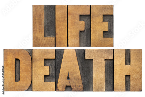 life and death in wood type