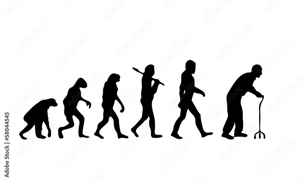 Evolution Old2
