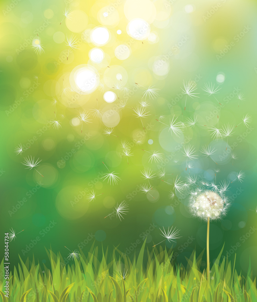 Vector of spring background with white dandelion. - obrazy, fototapety, plakaty 