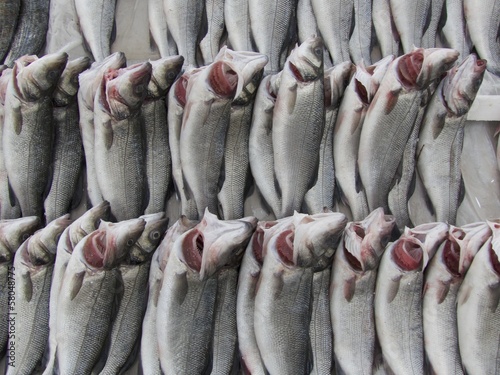 Frisch gefangener Fisch sorgfältig arrangiert auf dem Basar und Wochenmarkt im Stadtteil Erenköy in Sahrayicedit in Istanbul am Bosporus in der Türkei photo