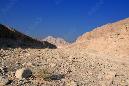 Wadi-Wuraya-Schutzgebiet, UAE photo