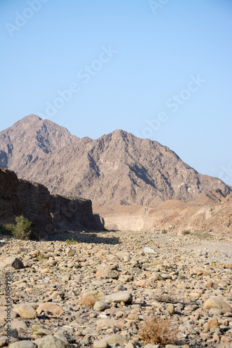 Wadi-Wuraya-Schutzgebiet, UAE