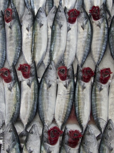 Tote Fische mit offenen Kiemen als Zeichen der Frische auf dem Basar und Wochenmarkt im Stadtteil Erenköy in Sahrayicedit in Istanbul am Bosporus in der Türkei photo