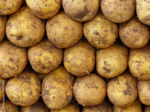 Frisch geerntete Kartoffeln auf einem Wochenmarkt und Basar im Stadtteil Erenköy in Sahrayicedit in Istanbul am Bosporus in der Türkei photo