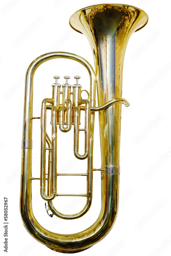 Fototapeta premium trumpet