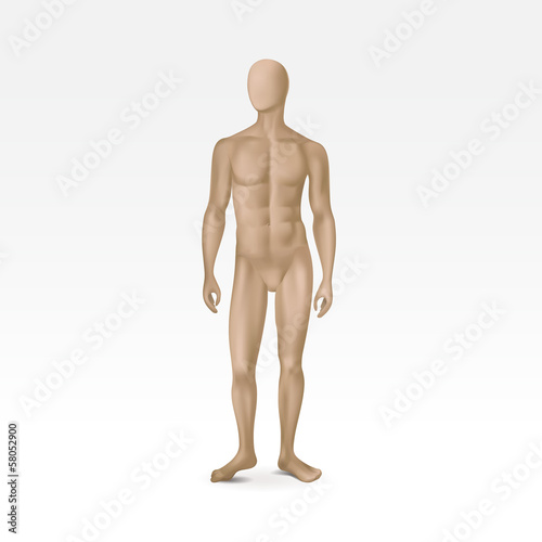 Vector Isolated Male Mannequin