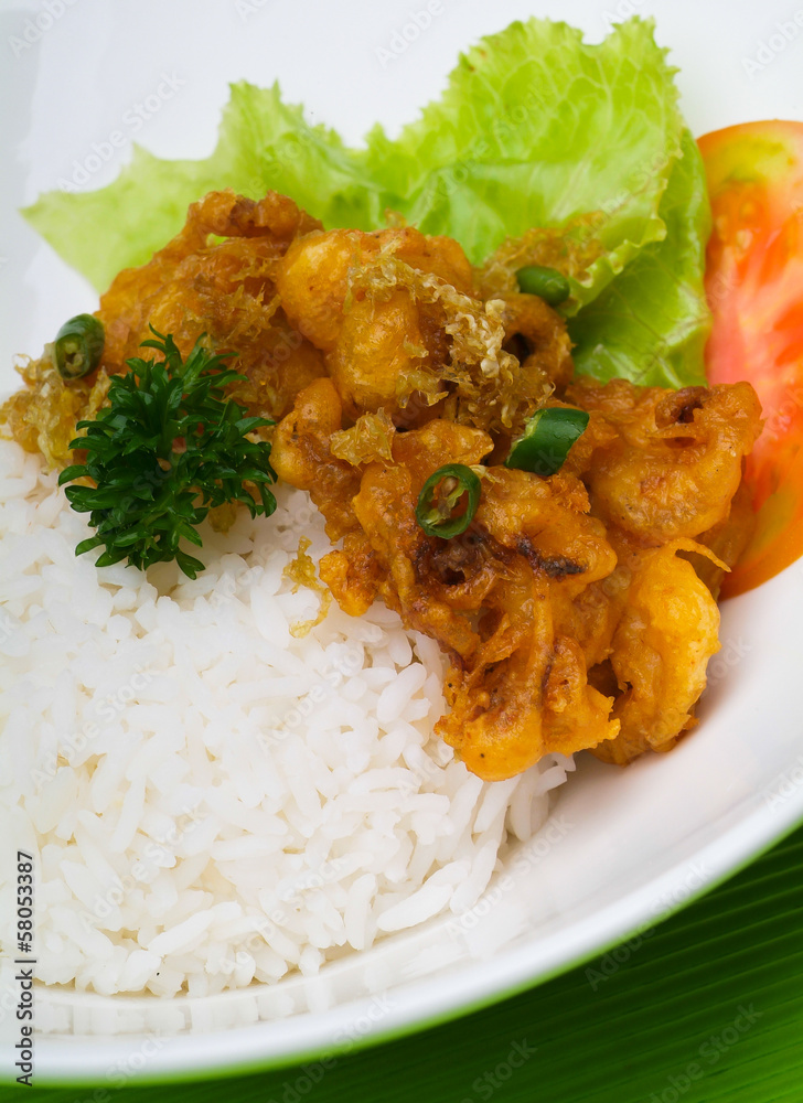 shrimp serve with rice asia food. shrimp serve with rice asia food.