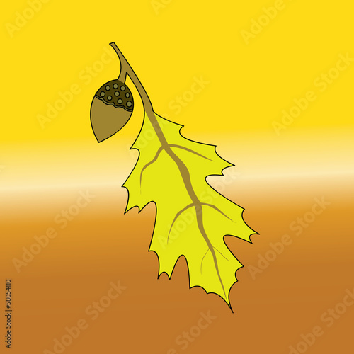 autumn leaves acorn