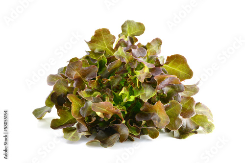 fresh red  lettuce leaves isolated on white