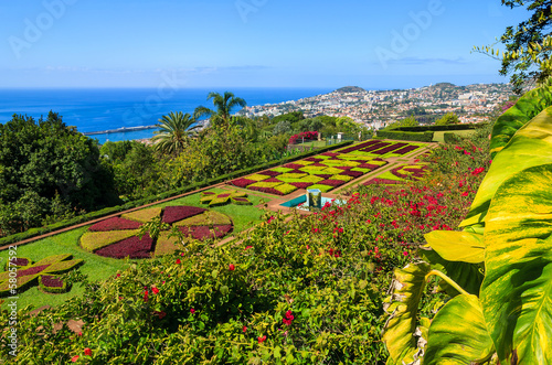 Obraz na płótnie Tropical Botanical Gardens in Funchal town, Madeira island w salonie