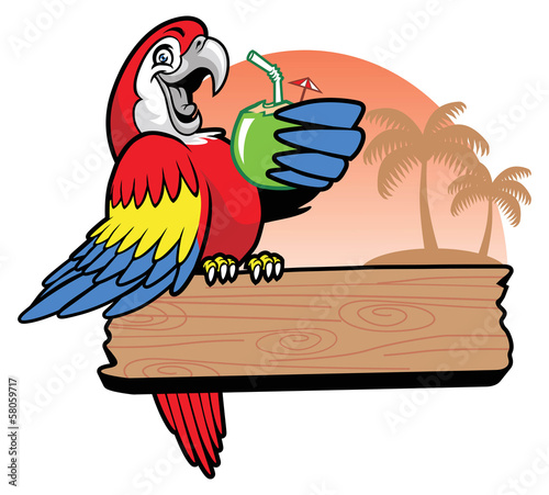 parrot drink a coconut water