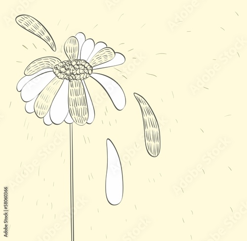 floral pattern with falling petals. summer background