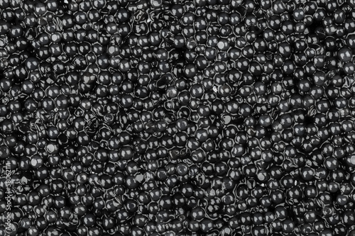 Shining black caviar background texture. Macro photo