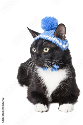 black cat in a winter hat isolated on white background