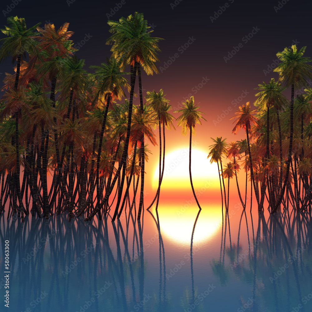 palms in ocean and sunset