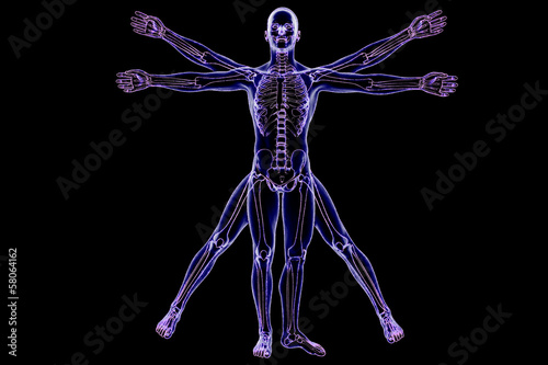 Vitruvian man of stars