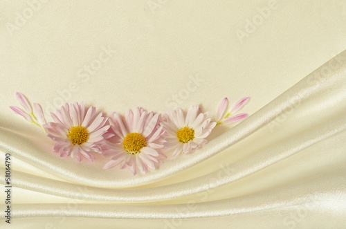 White background with chamo...