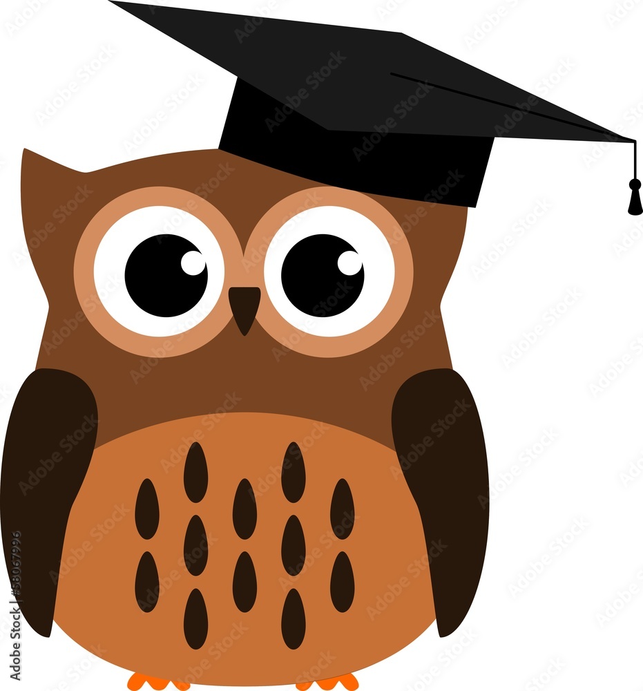 Fototapeta premium Vektor Eule Studium