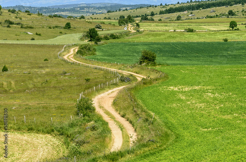 Country path in the Lozere mountains