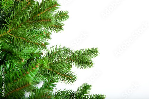 Christmas tree in front of a white background